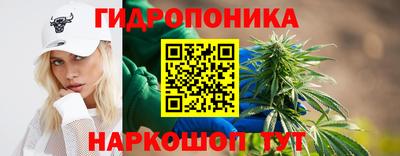 сатива Краснознаменск