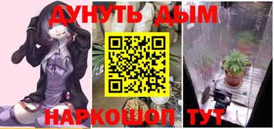 сатива Краснознаменск